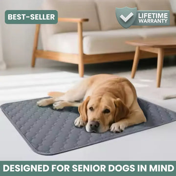 GoldenYears™ Dry Pad