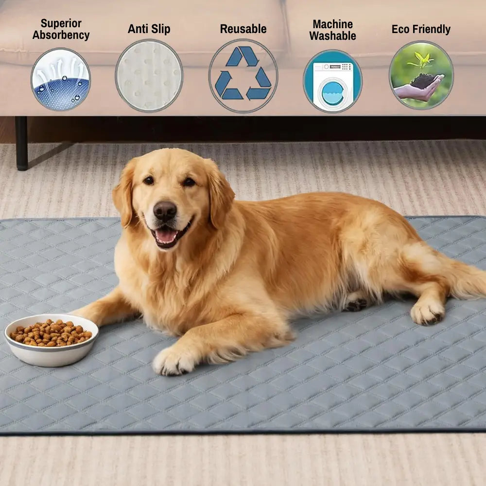 GoldenYears™ Dry Pad