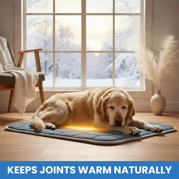 PawRelief™ Comfy Heat System