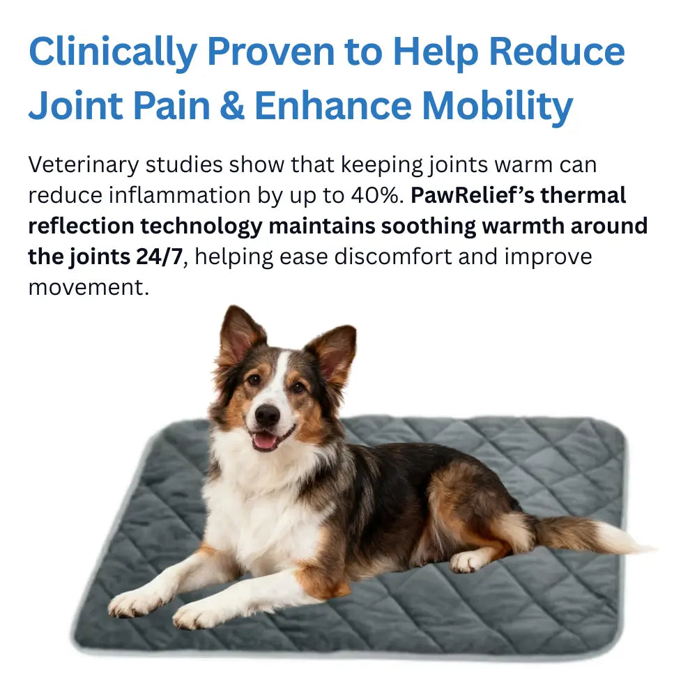 PawRelief™ Comfy Heat System